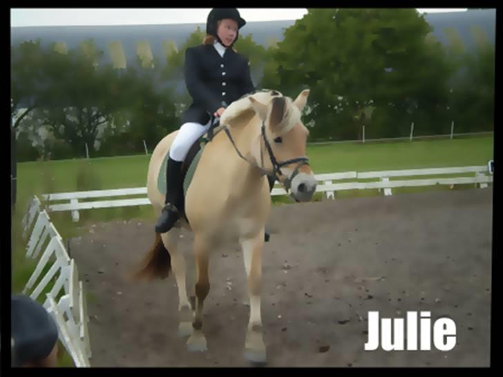 Fjordhest julie *NYT BILLED kig!! - Stævne 20/9 billede 1