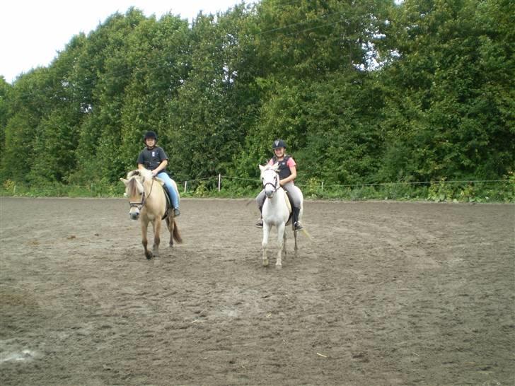 Fjordhest julie *NYT BILLED kig!! - sidder ik så godt begge men de gad ik stå stille hihi billede 6