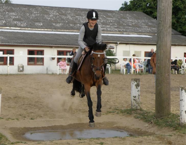 DSP Star(solgt)<3 - star og jeg spriger vandgrav min første gang billede: Pia L tusind tak (hun er verdens bedste fotograf) billede 20