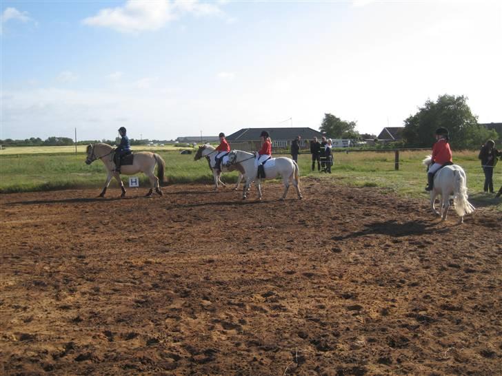 Anden særlig race Coco billede 2