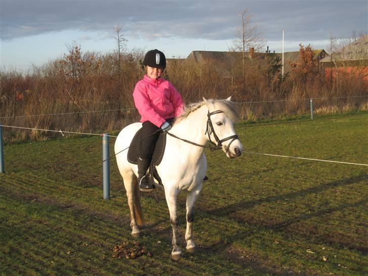 Anden særlig race Coco billede 3