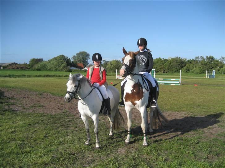 Anden særlig race Coco billede 6