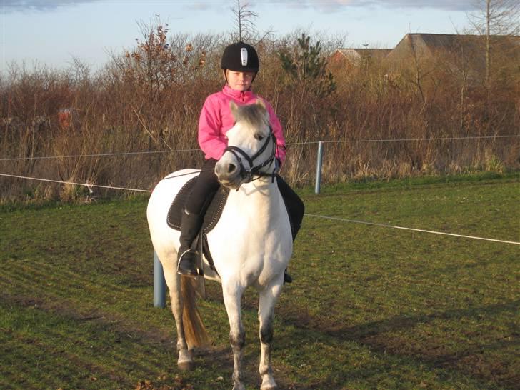 Anden særlig race Coco billede 7