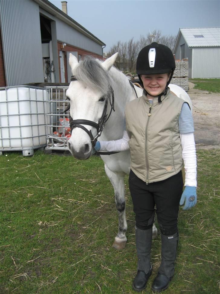 Anden særlig race Coco billede 10