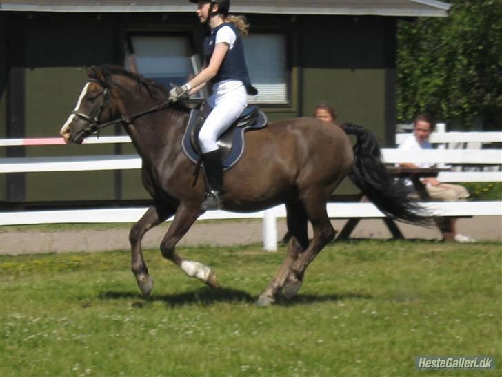 Anden særlig race Gilbert<3<3<3 hans erik's - når men vi  skrider altså nu;p tak for kigget;D husk komentar og bedømelse!! vriiiinsk:D<3 billede 18