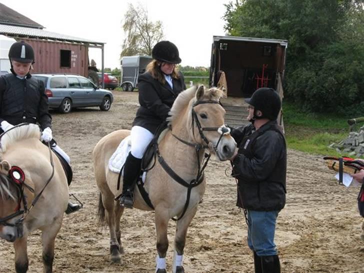 Fjordhest Troja * Elskede * - Birken ´08 billede 17