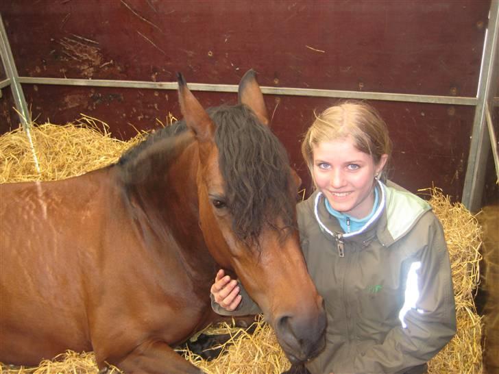 New Forest Elmholts Chanell  - morsø 2007, i boksen.. aflsappet pony (´: - foto: mor <3 billede 3