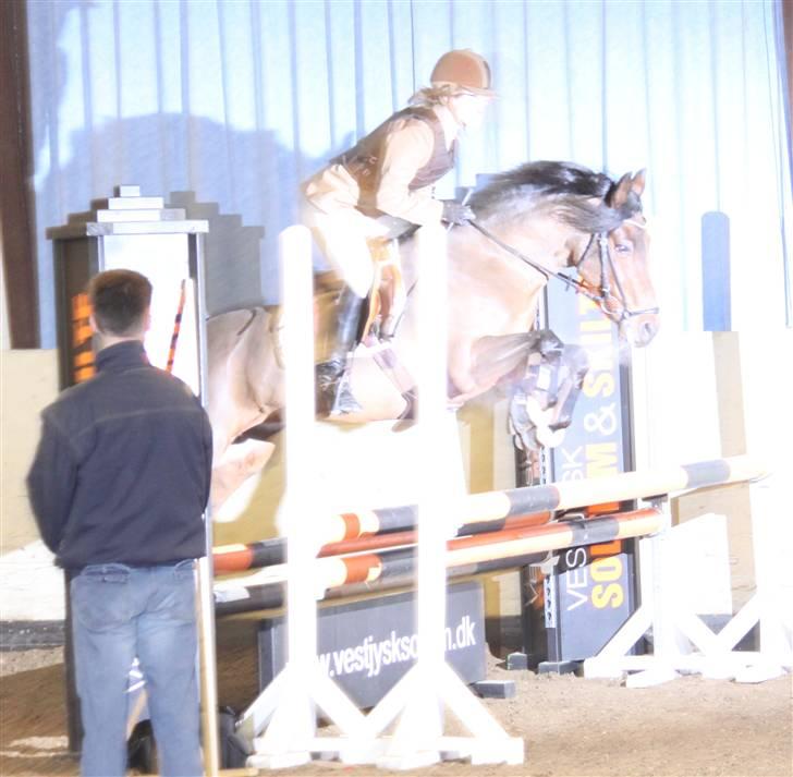 New Forest Elmholts Chanell  - sponsorspring, emma og chanell endte på 110 cm - foto: mig selv <3 billede 7