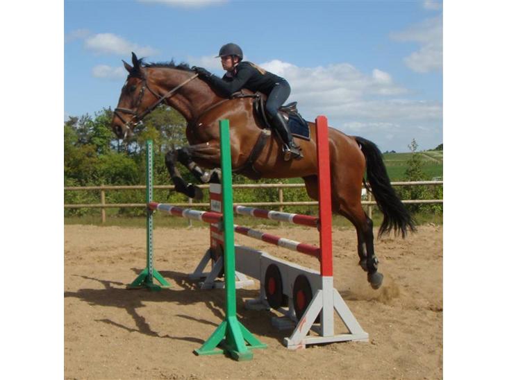 {{currentPhoto.altText}} billede {{currentPhoto.number}}