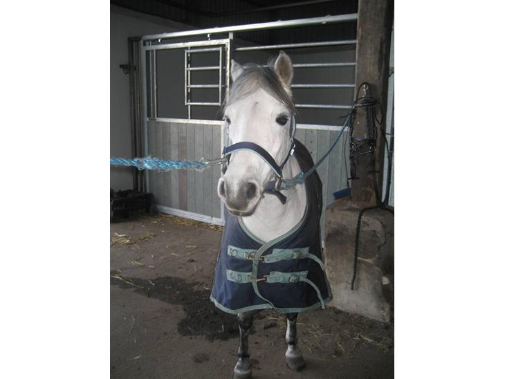 {{currentPhoto.altText}} billede {{currentPhoto.number}}