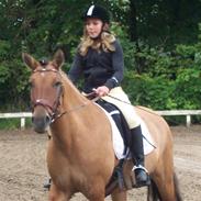 Anden særlig race yrsa