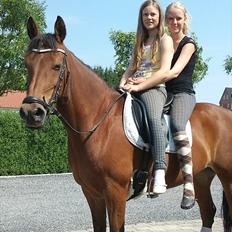 Anden særlig race Beauty SOLGT