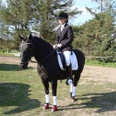 New Forest Vesterhedegård's Arak