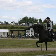 Islænder Askja fra Godthåb
