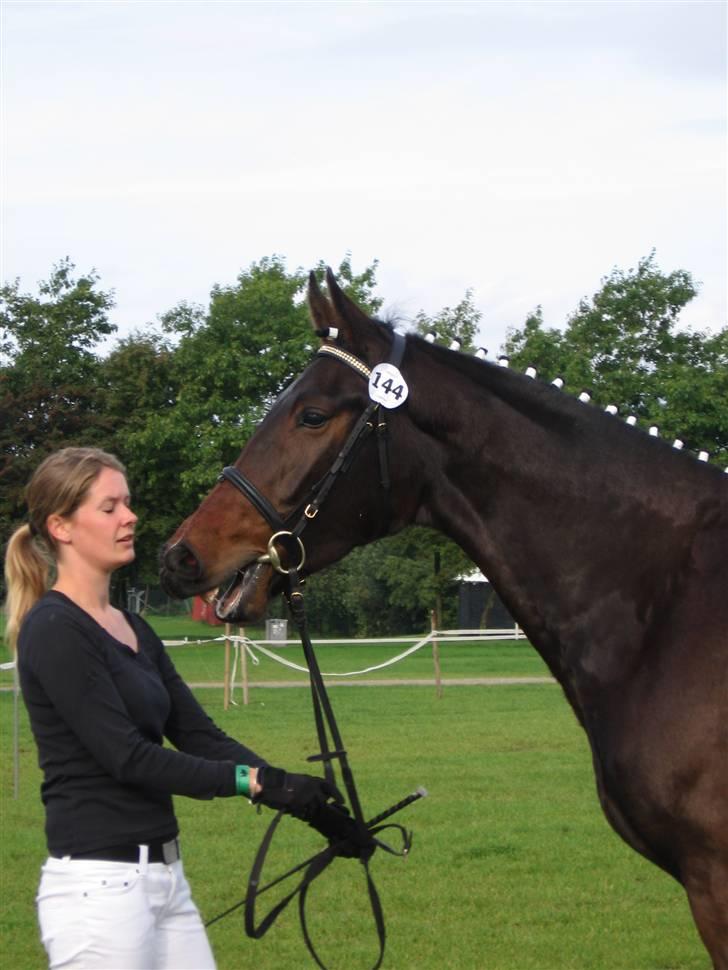 Anden særlig race Skovlundegårds Solero - Åh.. venner hvor er i henne kan i ikke høre mig? billede 10