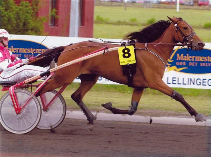 Traver Dubbi Frisco - dubbi som vinder  billede 2