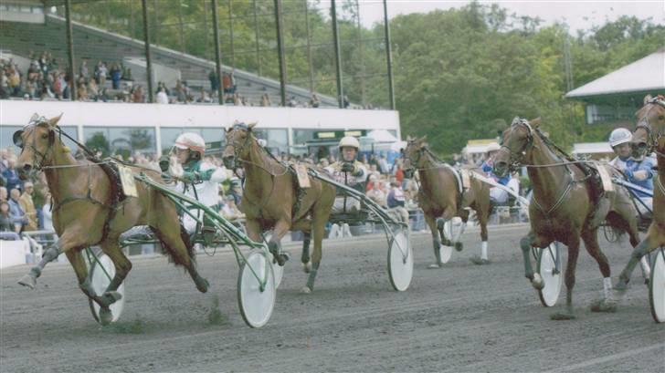 Traver Dubbi Frisco - dubbi som vinder i en derbyweekend billede 5