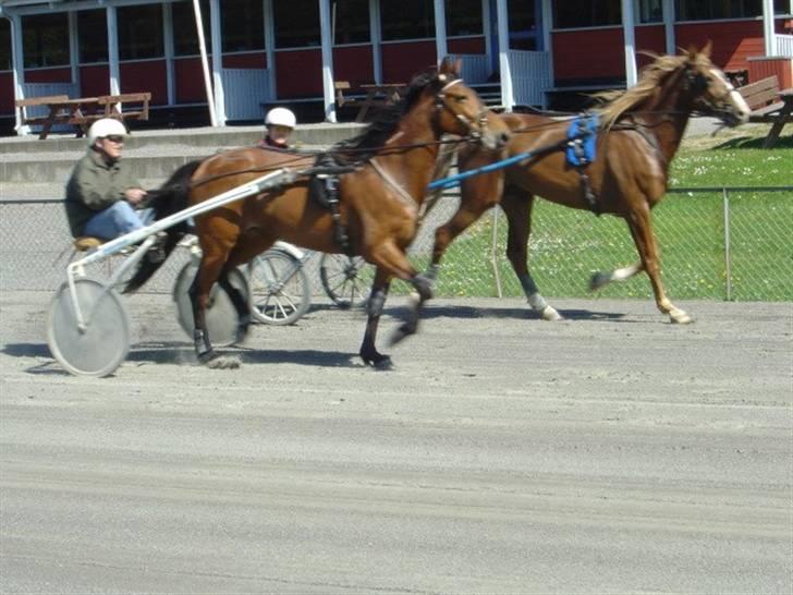 Traver Dubbi Frisco - dubbi på banen billede 6