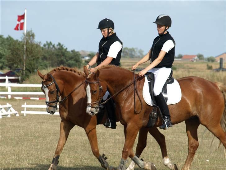 Frederiksborg  / DV Amigo - på SKRK hvor os fra Rudemølle skulle ride kvadrille , det var mega fun ! hvem er hvem ? hehe ;D billede 16