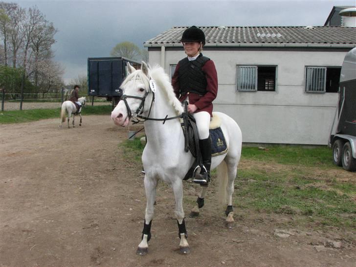 Welsh Pony (sec B) Korreborg's Oline ¤SOLGT¤ - havde lige fået skide godt i en MB billede 18