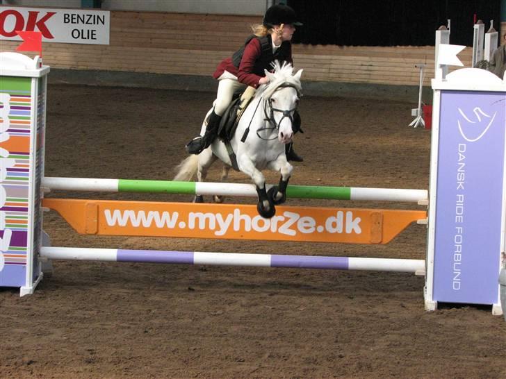 Welsh Pony (sec B) Korreborg's Oline ¤SOLGT¤ - MB landstæbne sønderborg rideklub billede 19