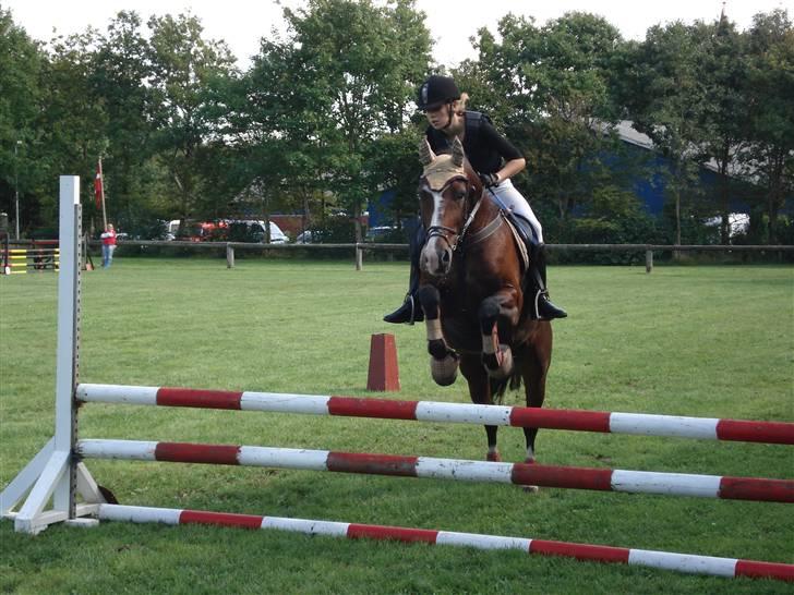 Anden særlig race Bianca - Stævne i Vildbjerg . Vi fik to 1. pladser XD billede 4