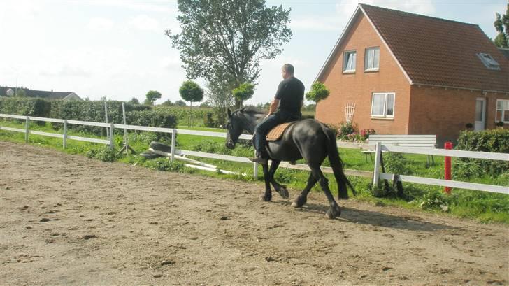 Frieser ippi *SOLG* billede 1