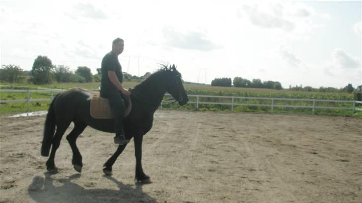 Frieser ippi *SOLG* billede 2