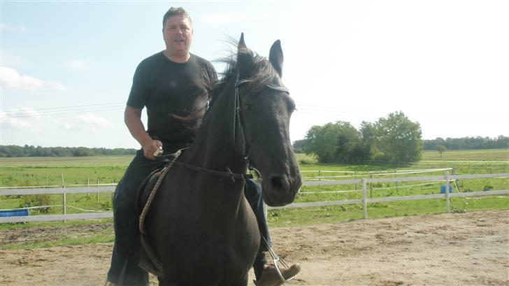 Frieser ippi *SOLG* billede 3