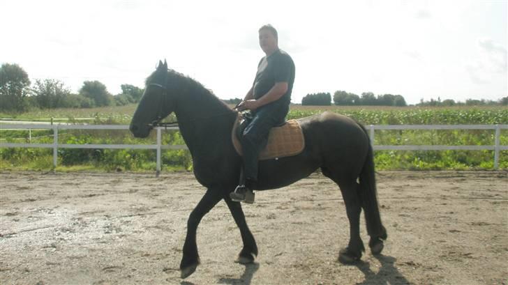 Frieser ippi *SOLG* billede 4