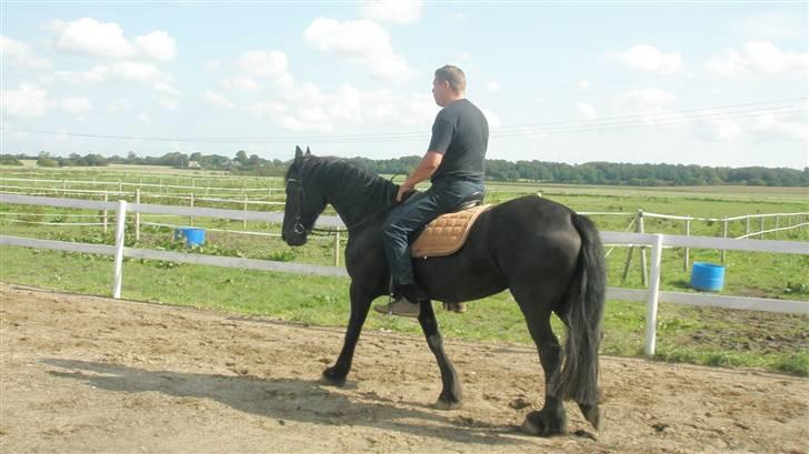 Frieser ippi *SOLG* billede 5