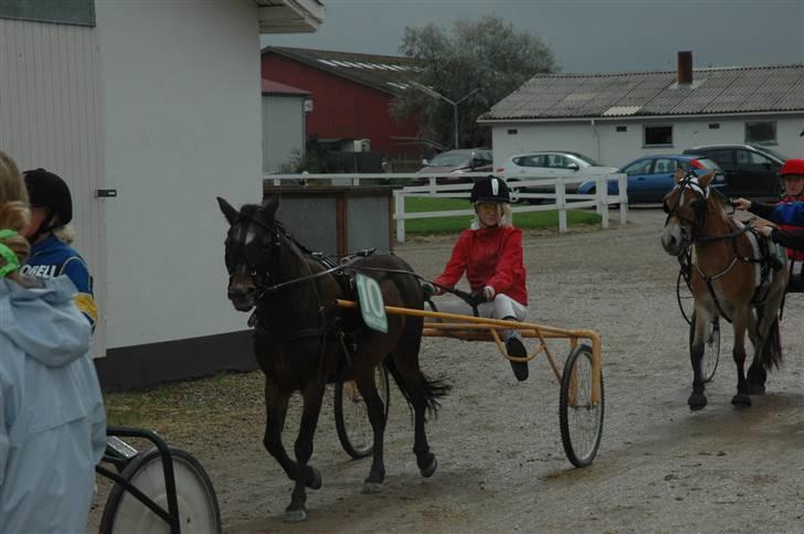 Anden særlig race Anja(R.I.P) - Mig og anja til Dm i Skive(: billede 11