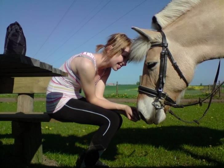 Fjordhest Bellis  - Bellis og jeg ! <3  billede 16