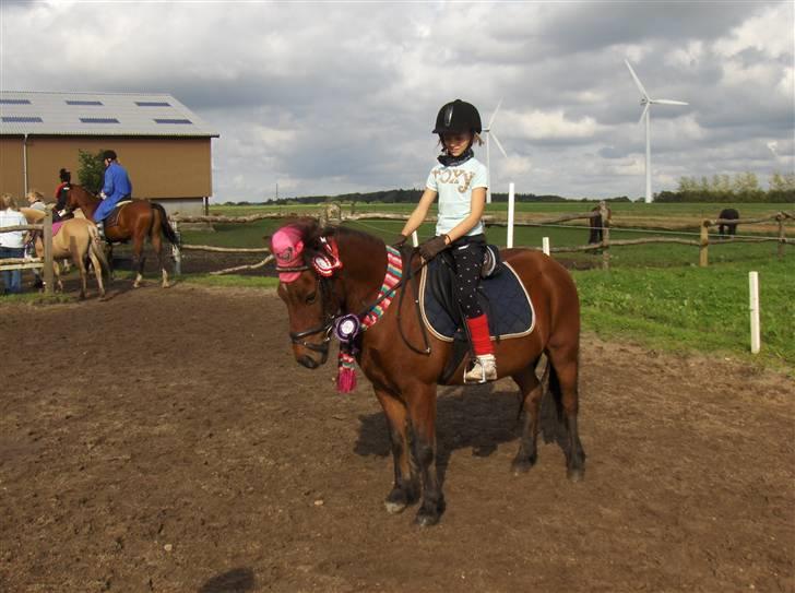 Anden særlig race |Buller| - kostymespring , vandt en første plads i springningen, og den lilla for at være med..  billede 14