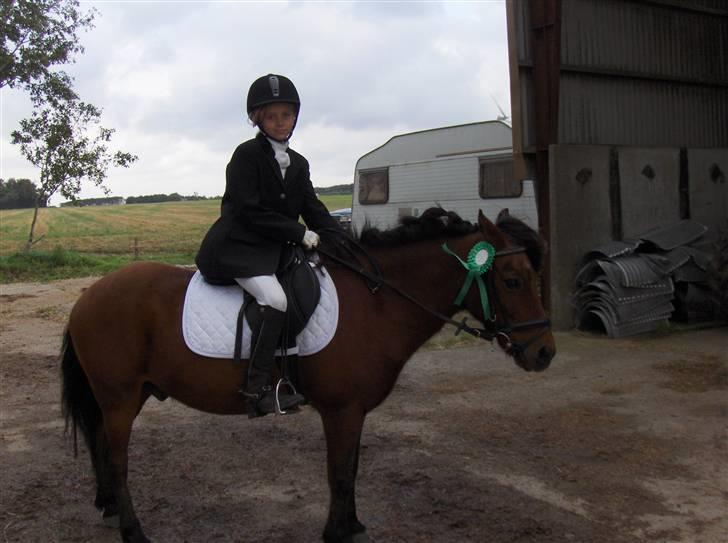 Anden særlig race |Buller| - efter LC1 eller LC2  ??  - Buller var lidt træt.. billede 15