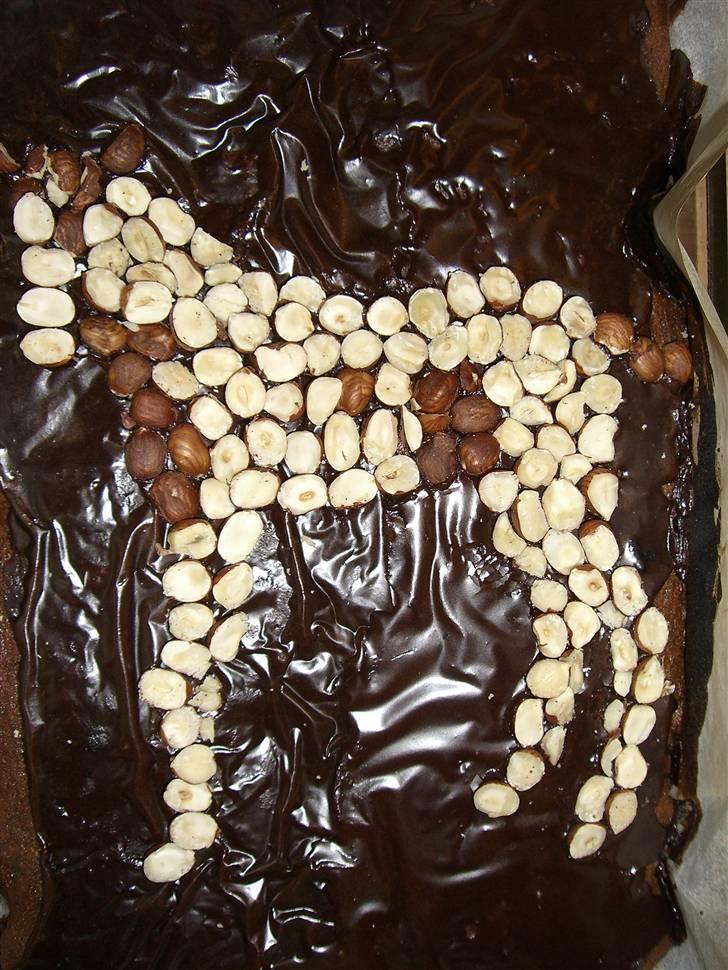 Irish Cob Maja (solgt) - Barselskage til arbejde, blev mobbet meget med at være blevet far... billede 5