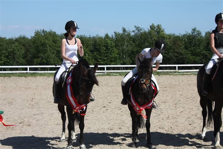 Anden særlig race Voldbjerggårds Musse - Musse&Trine, Rose&Julie, Apache&Stef, Apache&Becca vandt holdcuppen juni 2009 på TUS! TUS Champions for altid!!! Foto: Mor billede 13