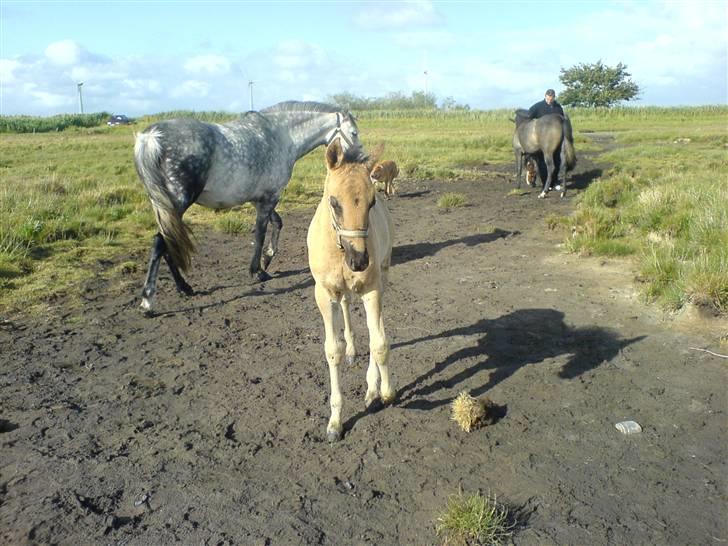 DSP Karlos - Karlos med mor Kathleen(tv) og søster Katie(th) i baggrunden. billede 8