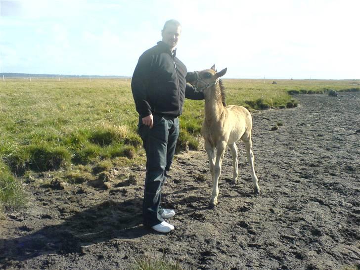 DSP Karlos - Karlos i det kælne hjørne. billede 9