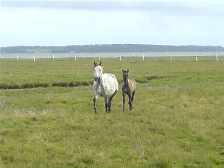 DSP Karlos - Karlos sammen mor Kathleen. billede 13