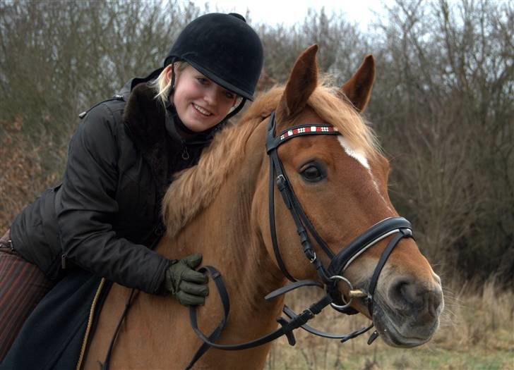 Anden særlig race Mr. Magic B-pony SOLGT - 17. Januar 2009 billede 19