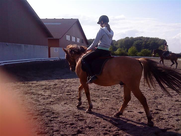 Anden særlig race Julius: red - Fint lille billede men Emilies finger sad ivejen xD<3 billede 16