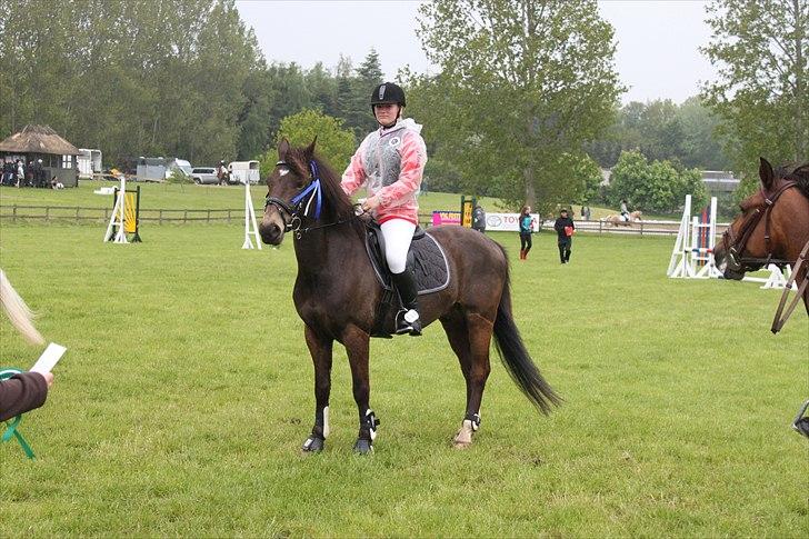 Anden særlig race Bailey - 2 plads LB 2010 billede 14