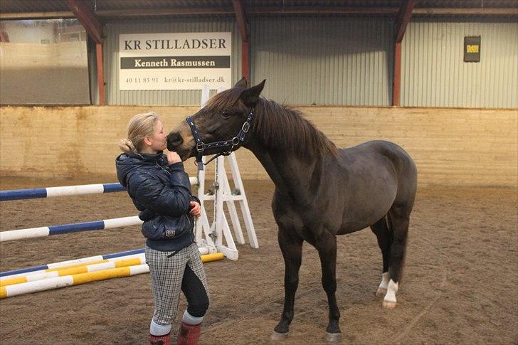 Anden særlig race Bailey - Mig og bailey hygger<3 billede 15