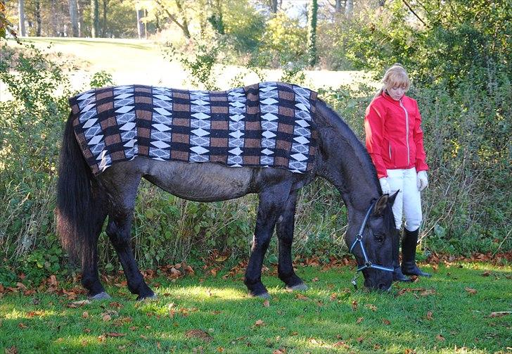 Anden særlig race Julle - #10  Aflappet og glad efter en god jagt. D. 17 okt. 2010 billede 9