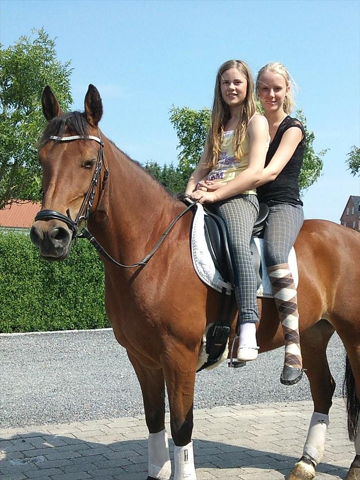 Anden særlig race Beauty SOLGT - heej velkommen til Beauty´s profil....... Hygge med Stine ;) Foto: Mor billede 1