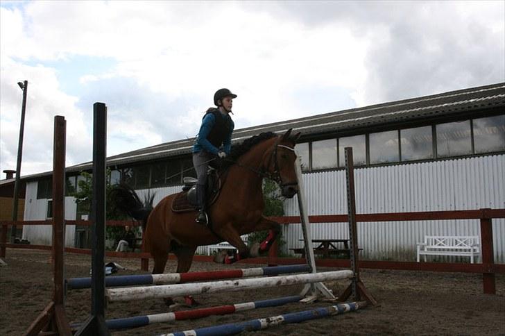 Anden særlig race Beauty SOLGT - Jaaa, hun kan godt springe lidt xD.. altid godt med noget andet end dressur hele tiden :P Foto: Martina billede 3