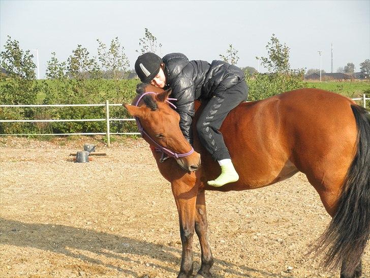 Anden særlig race Beauty SOLGT - Sidste dag med Beauty <3 Foto: Stine Nielsen billede 6