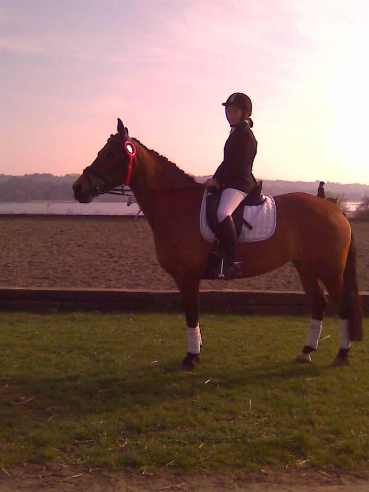 Anden særlig race Beauty SOLGT - 1. plads i LB2 i årslevgård Foto: Mor billede 13