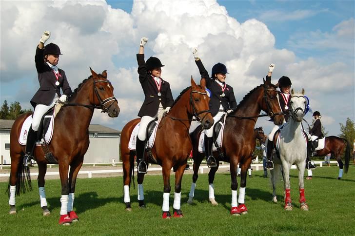 Anden særlig race Ryttergårdens Nika-SOLGT- - Hold dm 2008 sølv! godt gået tøser! fra venstre Nanna og Centrum, Mig og Nika, Caro og Zeus og Line og Romeo billede 19